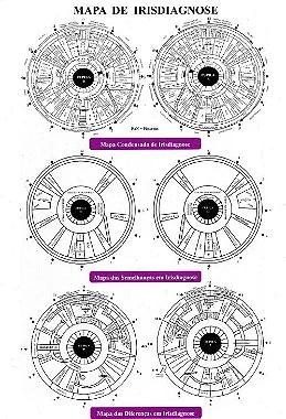 Mapa de Irisdiagnose